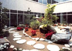 RLDS Temple Meditation Garden